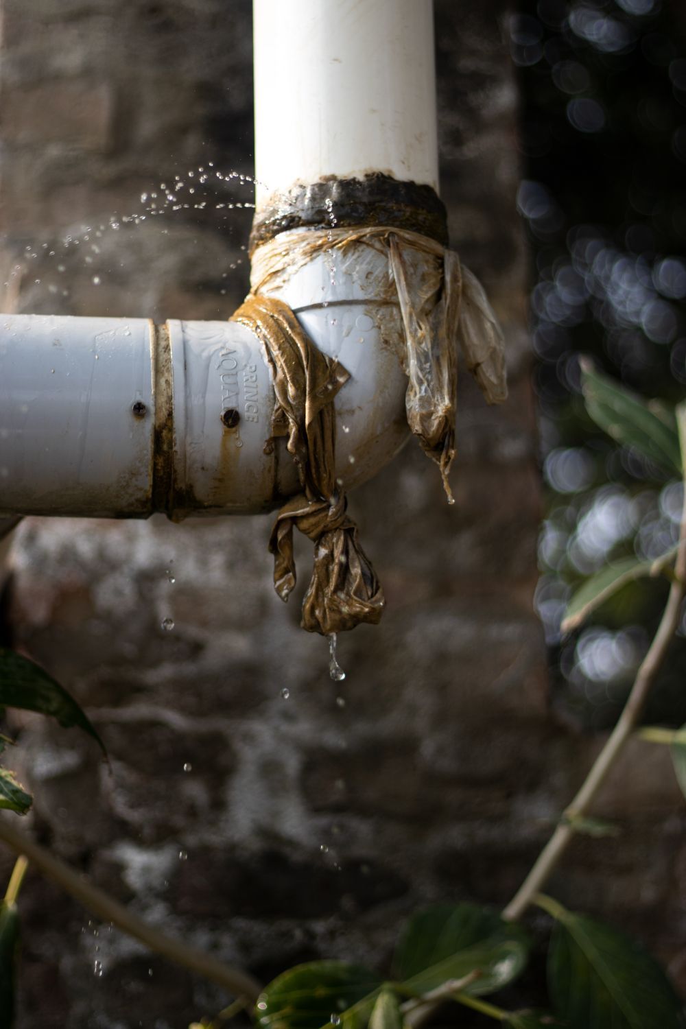 Close-up of a leaking pipe joint dripping water, a common cause of water damage in Seattle homes