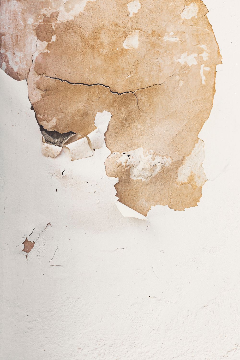 Water-stained wall where moisture sat too long, the condition mold grows from